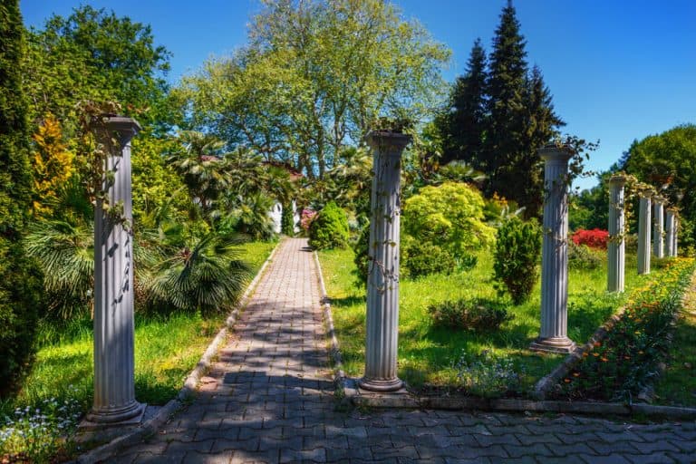 batumi botanical garden