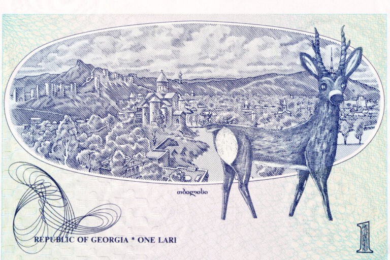 georgian money