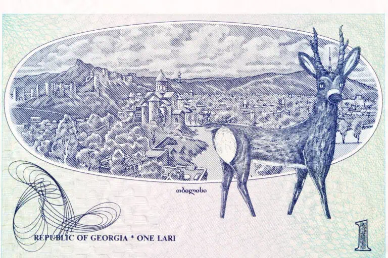 georgian money