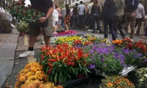 שוק הפרחים טביליסי
