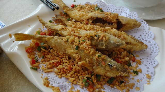 🐠 Magical fish