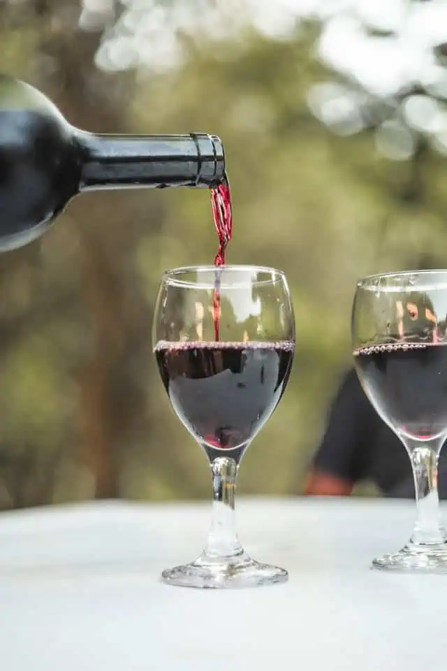 כרם יינות יפהפה באזור טביליסי, גאורגיה.